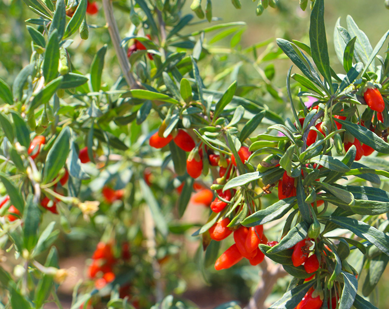 ������ϻ�߀��ȥ����?���S����