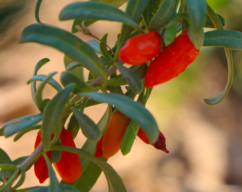 ���������ˮ��̎�����W(xu��)��(hu�� )���_��